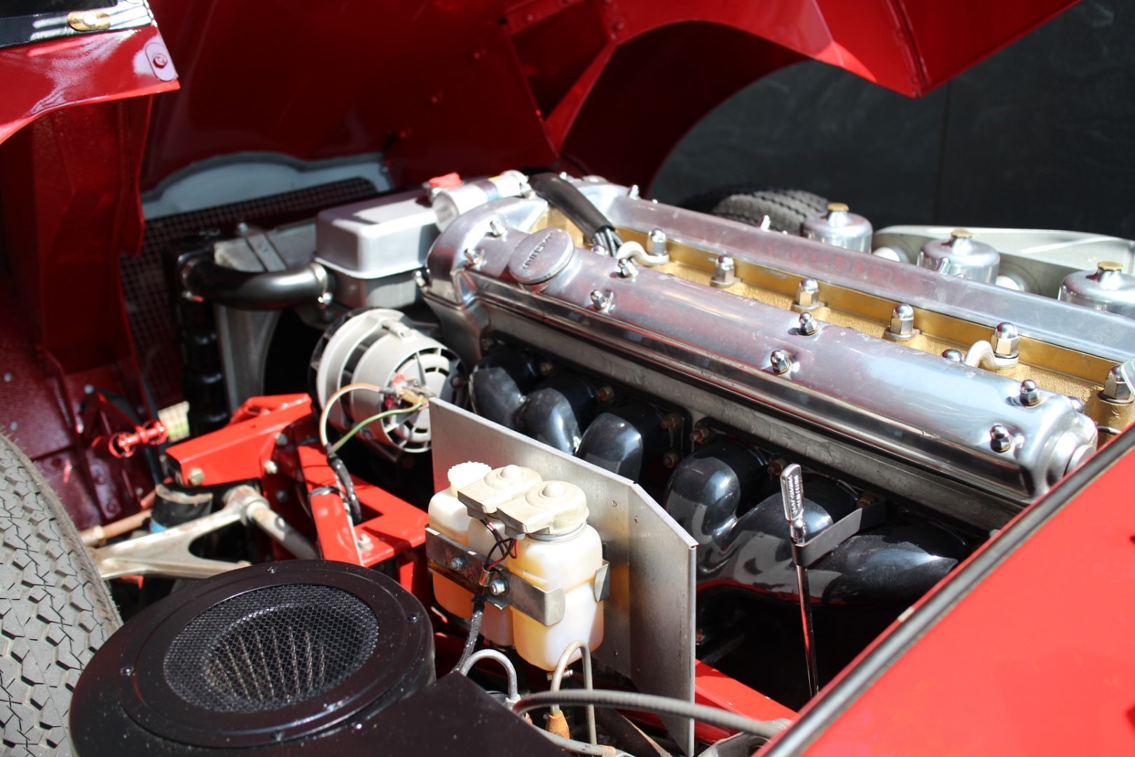 Used 1965 Jaguar XKE E-Type OTS | St. Petersburg, FL