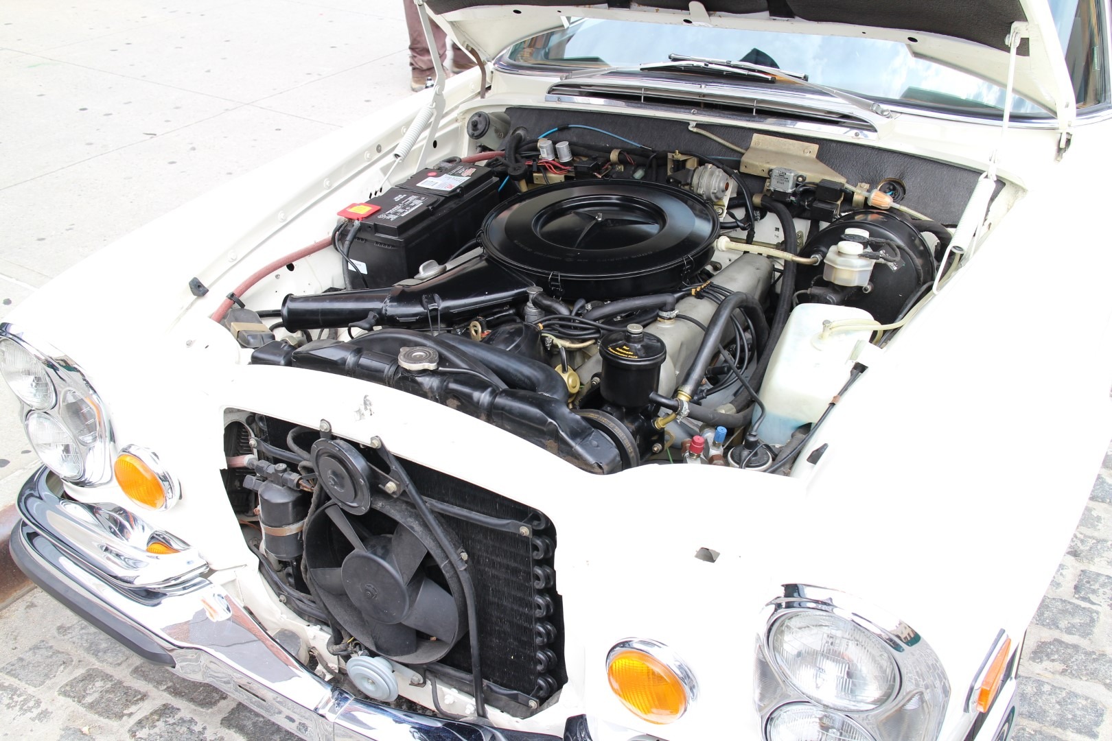 Used 1971 Mercedes-Benz 280SE 3.5 | St. Petersburg, FL