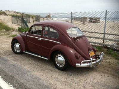 Used-1959-Volkswagen-Beetle