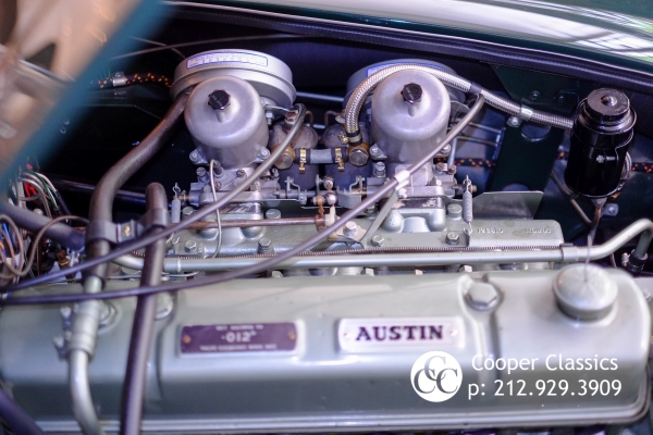 Used-1966-Austin-Healey-3000