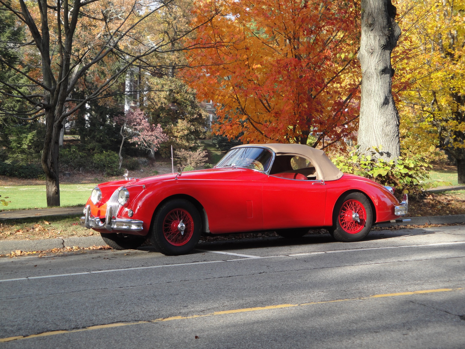 Used 1955 Jaguar XK150 OTS For Sale (Call for price