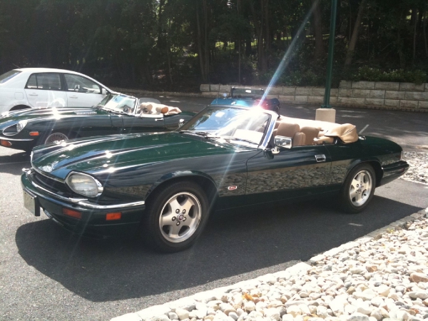 Used-1995-JAGUAR-XJS