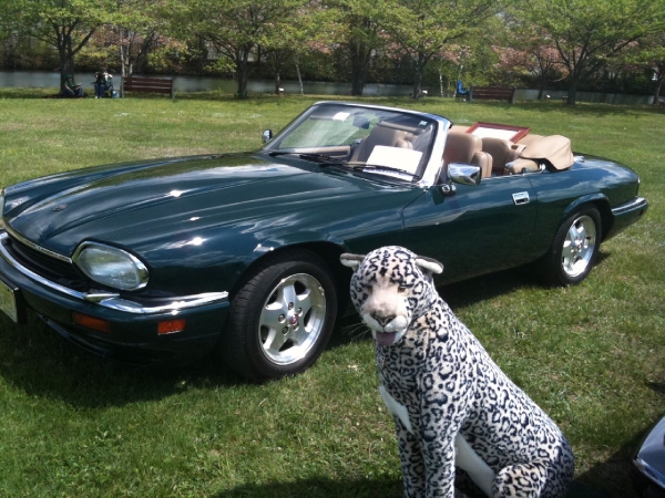 Used-1995-JAGUAR-XJS