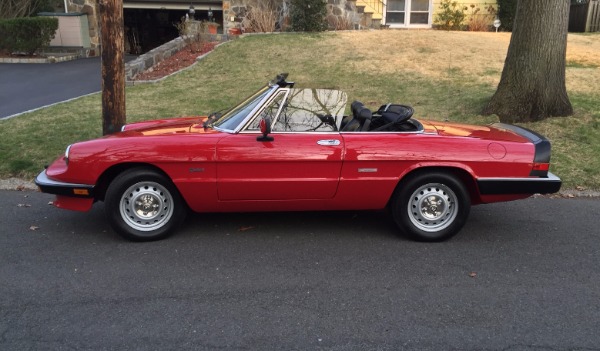 Used-1988-Alfa-Romeo-Spider