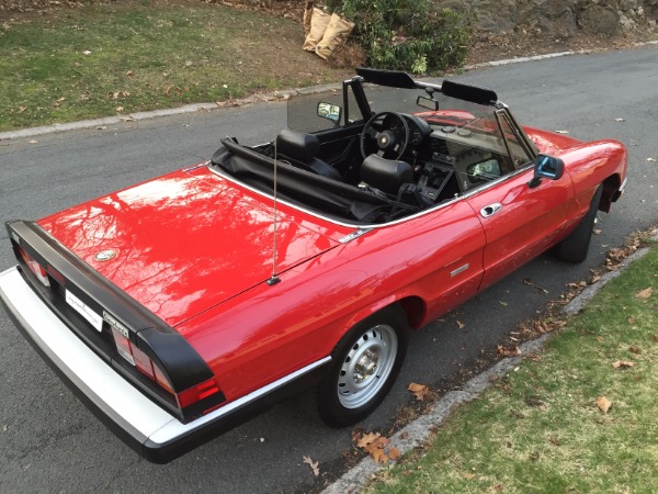 Used-1988-Alfa-Romeo-Spider