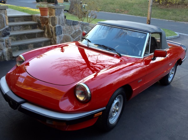 Used-1988-Alfa-Romeo-Spider