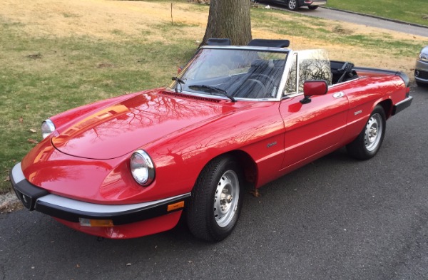 Used-1988-Alfa-Romeo-Spider