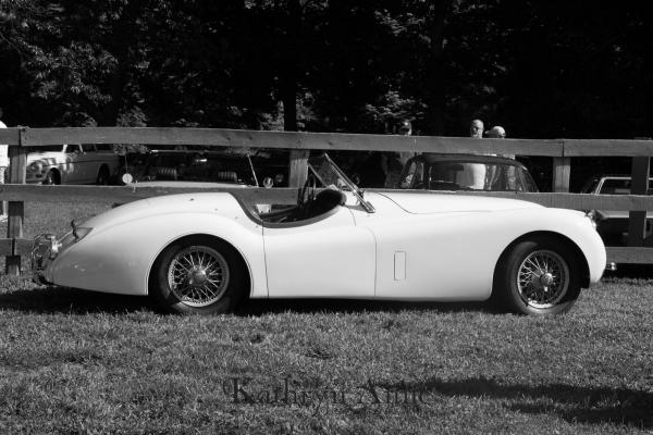 Used-1954-Jaguar-XK-120-50s-60s-European-Sports-British