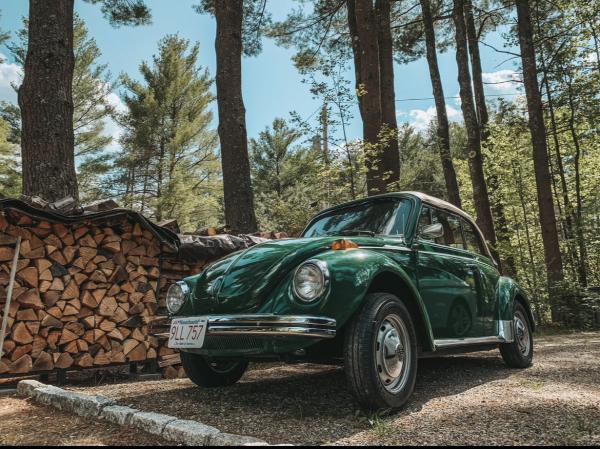 1978-Volkswagen--Beetle
